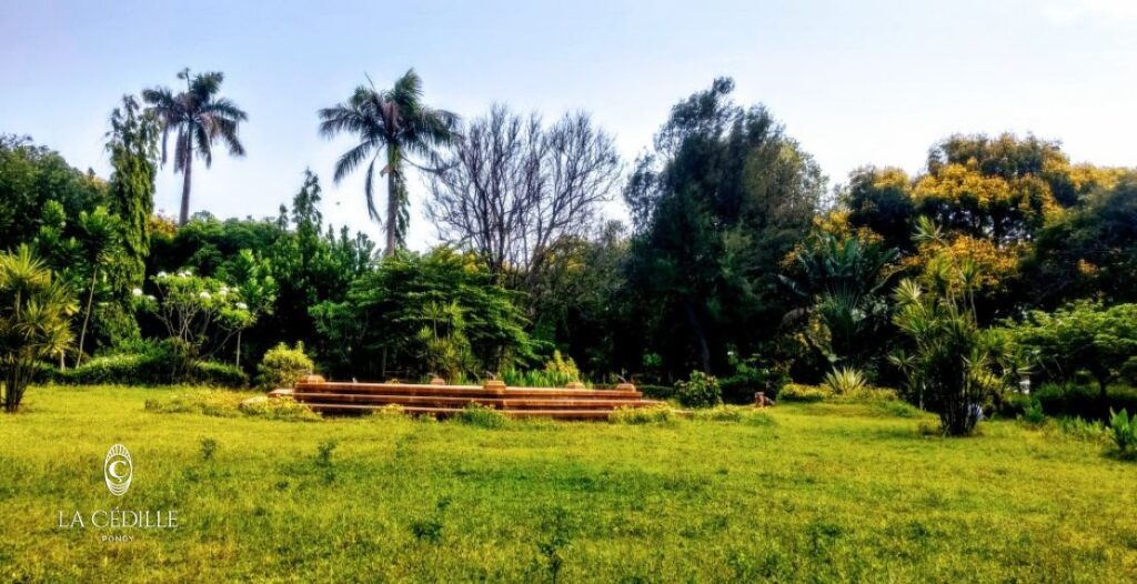 Flora and Fauna in Bharathi Park | La Cedille Pondicherry